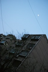 SDIM0087