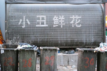SDIM0068