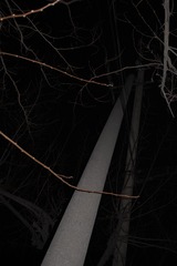 SDIM0217