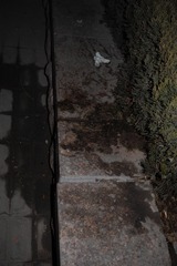 SDIM0220