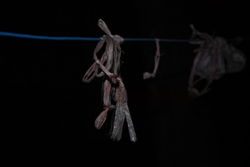 SDIM0265