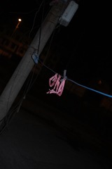 SDIM0263