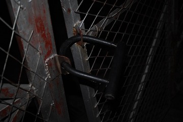 SDIM0241