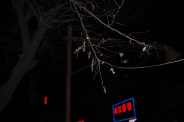 SDIM0214