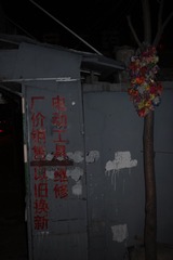 SDIM0256