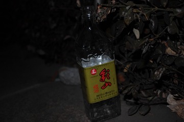 SDIM0222