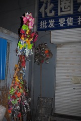 SDIM0255