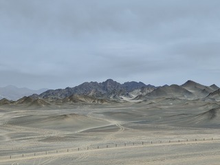 1000012835