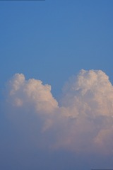 1000083164