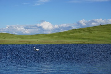 11480