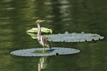 201388