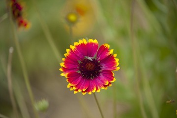 IMG_0059.jpg