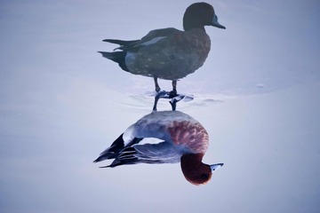 F5DEC459-9404-497A-B96A-D6943F14EB17/L0/001
