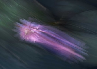 657313