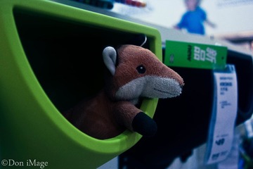 IMG_1167.jpg