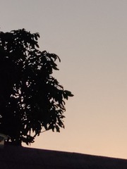 1000014263