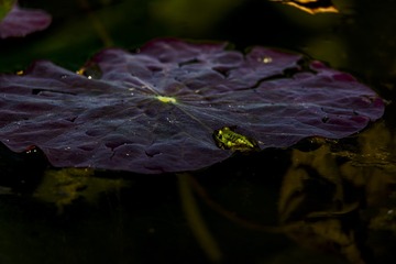 21002