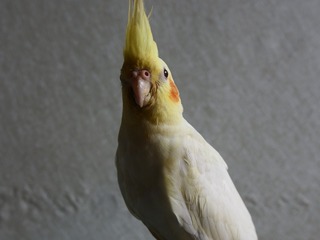 571581