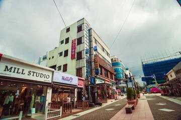 _DSC1244