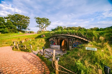 _DSC1043