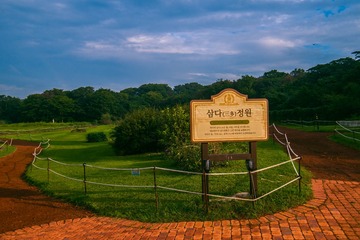 _DSC1031