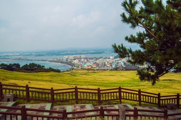 _DSC0820