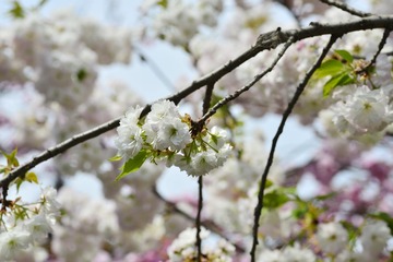 _DSC6151