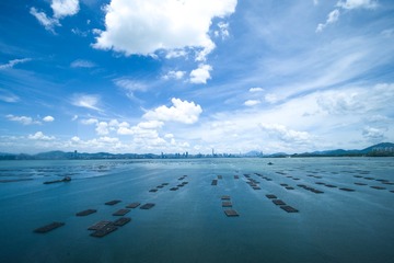 _DSC0594