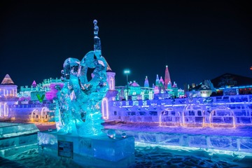 _DSC8285