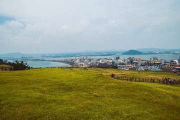 _DSC0837