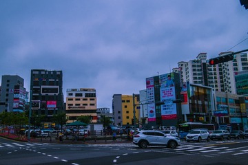 _DSC1291