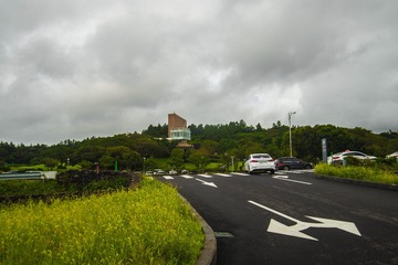 _DSC0782