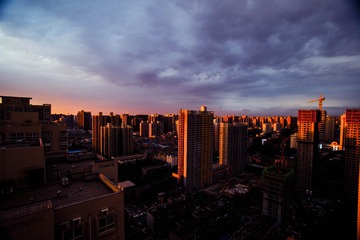 _DSC8295