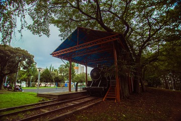 _DSC1376