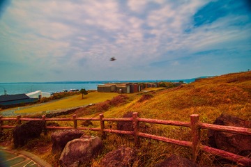 _DSC0904
