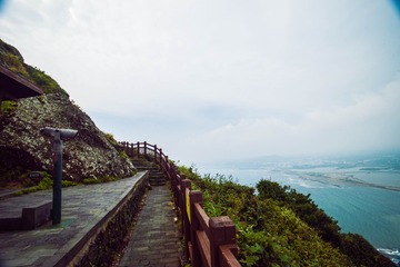 _DSC0826