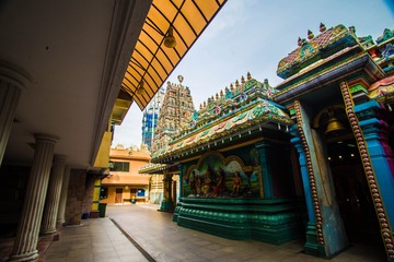 _DSC7911