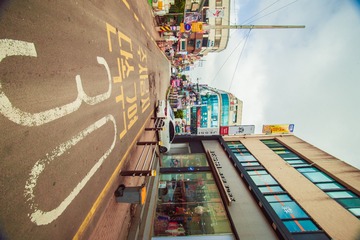 _DSC1247
