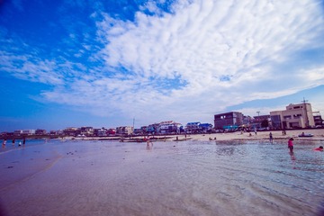 _DSC0955
