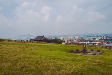 _DSC0816