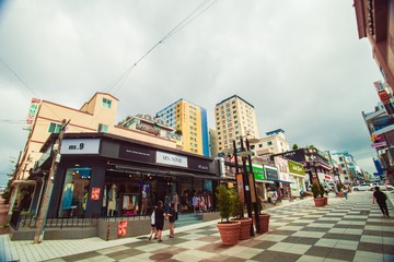 _DSC1240