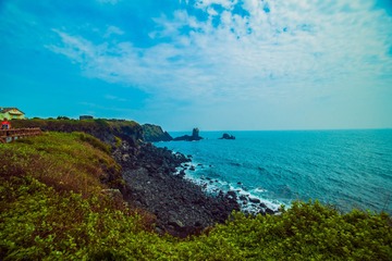 _DSC0885
