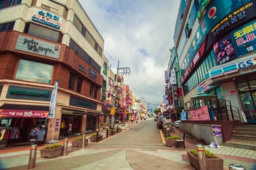 _DSC1245
