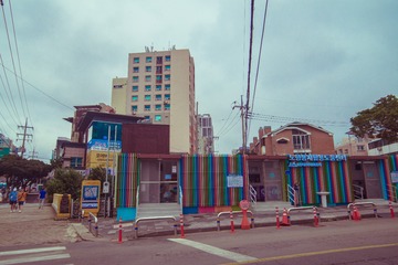 _DSC1313