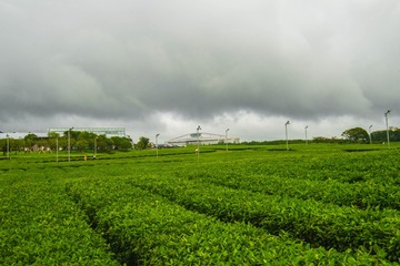 _DSC0775