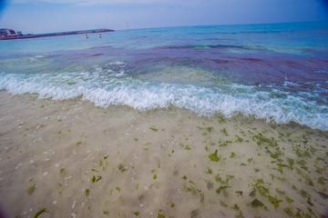 _DSC0939