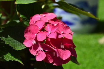 _DSC6443