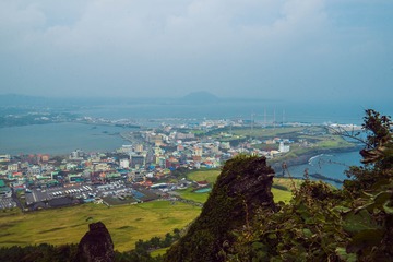 _DSC0824