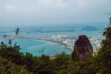 _DSC0822