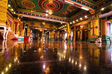 _DSC7946